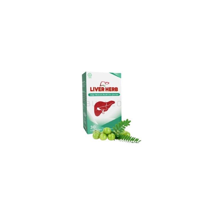 Liver Herb ⏤ kapsul untuk penyakit liver