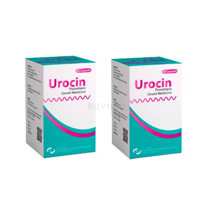 Urocin ⏤ capsules for prostatitis