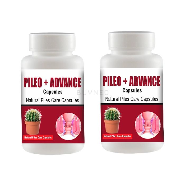 Pileo + Advance ⏤ হেমোরয়েডের প্রতিকার