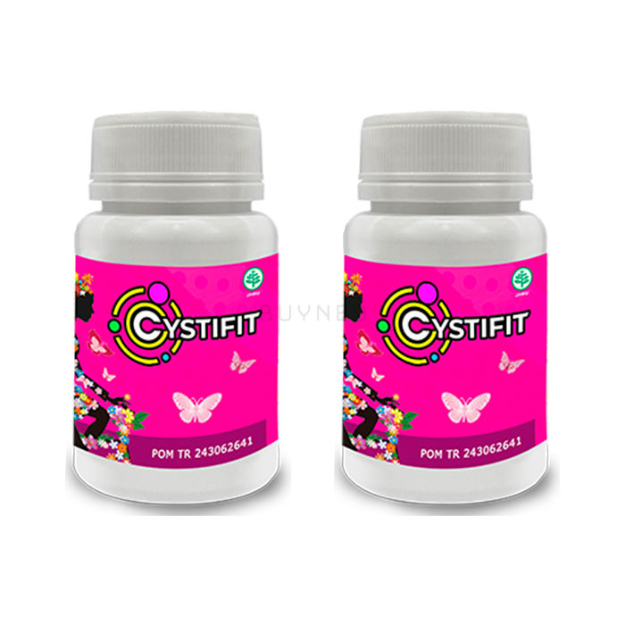 Cystifit ⏤ produk untuk kesehatan sistem genitourinari